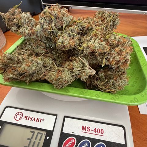 Auto Think Big - DP growlog timeline photo