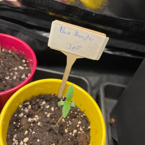 Eddy & Jeff growlog timeline photo