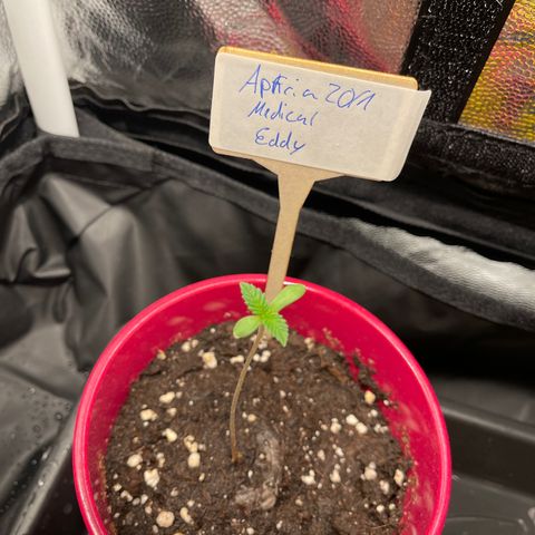 Eddy & Jeff growlog timeline photo