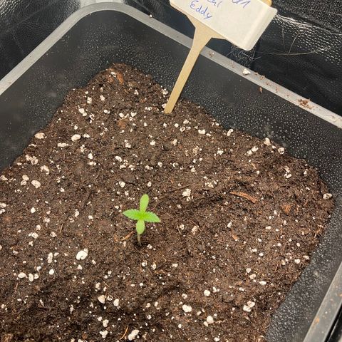 Eddy & Jeff growlog timeline photo