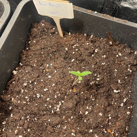 Eddy & Jeff growlog timeline photo