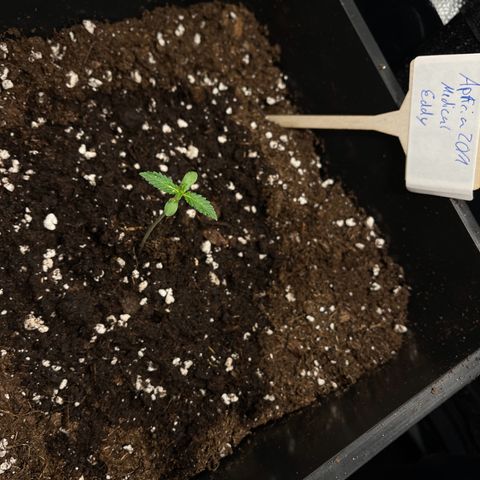 Eddy & Jeff growlog timeline photo