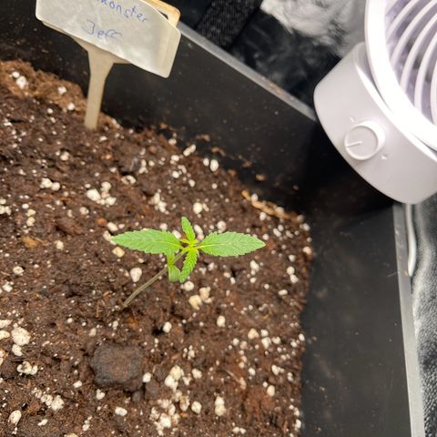 Eddy & Jeff growlog timeline photo