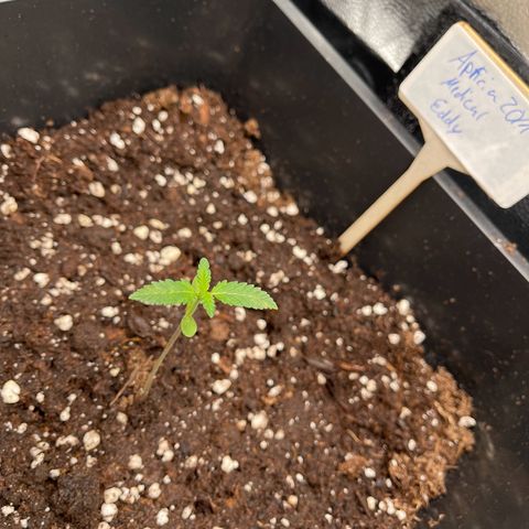 Eddy & Jeff growlog timeline photo