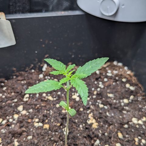 Eddy & Jeff growlog timeline photo