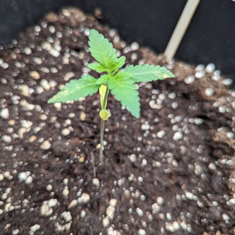 Eddy & Jeff growlog timeline photo