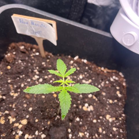 Eddy & Jeff growlog timeline photo