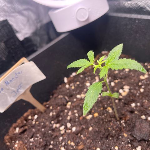Eddy & Jeff growlog timeline photo