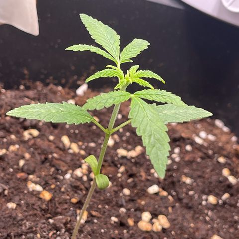 Eddy & Jeff growlog timeline photo