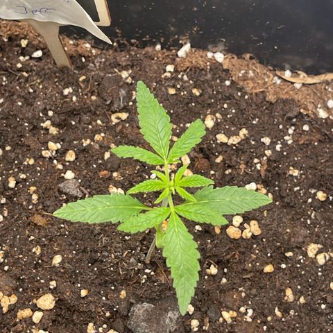 Eddy & Jeff growlog timeline photo