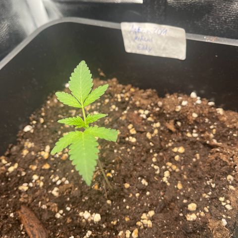 Eddy & Jeff growlog timeline photo