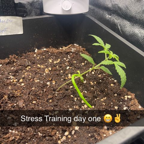Eddy & Jeff growlog timeline photo