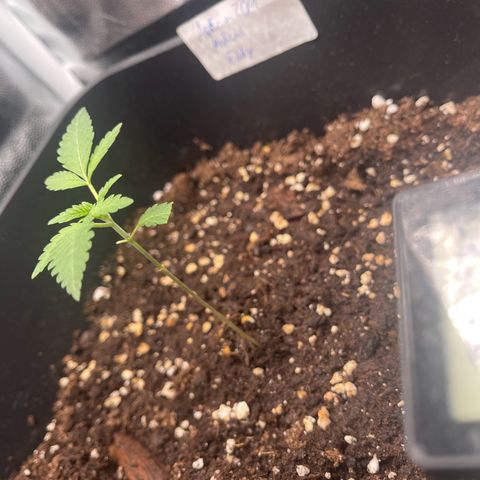 Eddy & Jeff growlog timeline photo