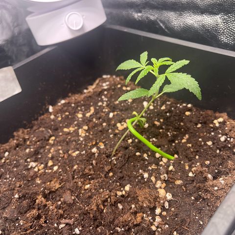 Eddy & Jeff growlog timeline photo