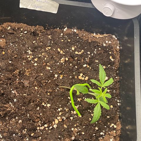 Eddy & Jeff growlog timeline photo