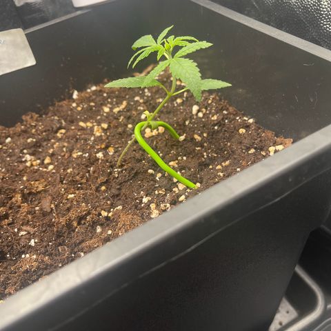 Eddy & Jeff growlog timeline photo