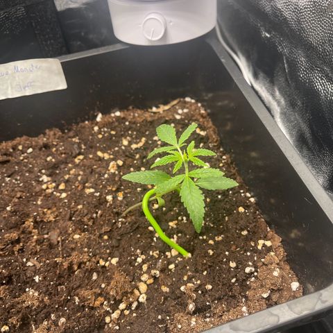 Eddy & Jeff growlog timeline photo