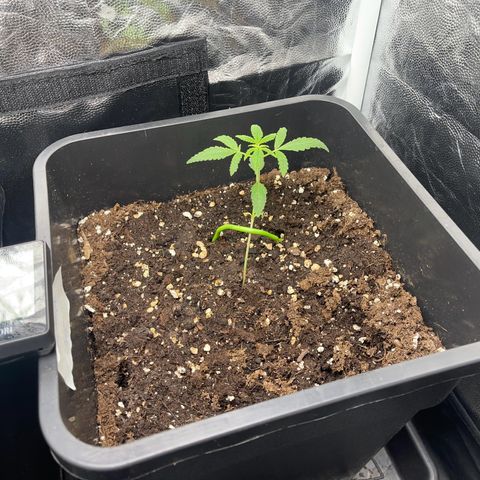 Eddy & Jeff growlog timeline photo