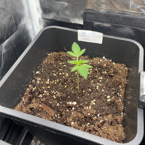 Eddy & Jeff growlog timeline photo