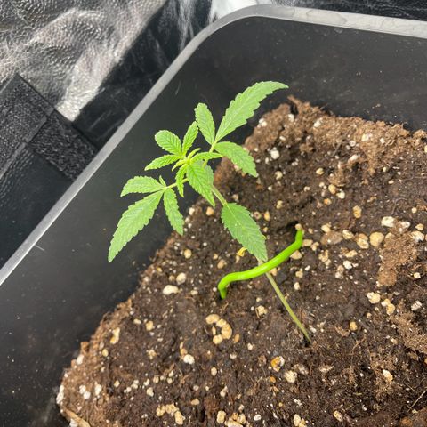 Eddy & Jeff growlog timeline photo