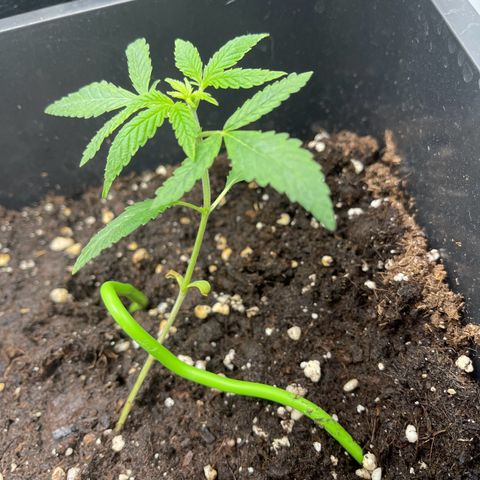 Eddy & Jeff growlog timeline photo