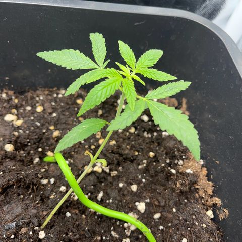 Eddy & Jeff growlog timeline photo