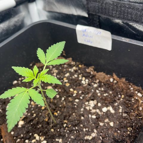 Eddy & Jeff growlog timeline photo