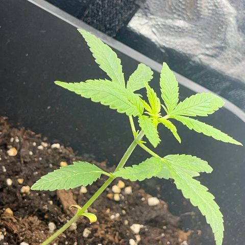 Eddy & Jeff growlog timeline photo