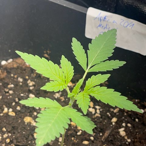 Eddy & Jeff growlog timeline photo