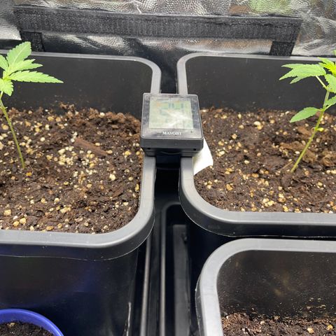 Eddy & Jeff growlog timeline photo