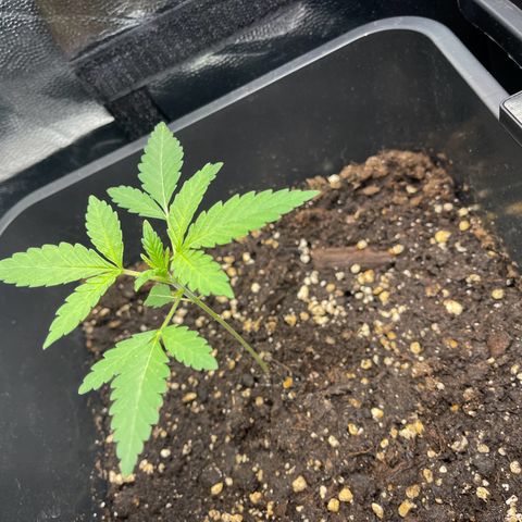 Eddy & Jeff growlog timeline photo
