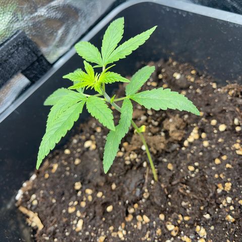 Eddy & Jeff growlog timeline photo