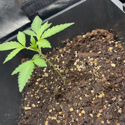 Eddy & Jeff growlog timeline photo