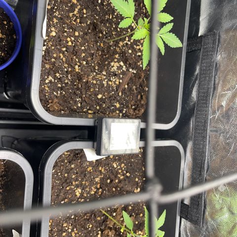 Eddy & Jeff growlog timeline photo