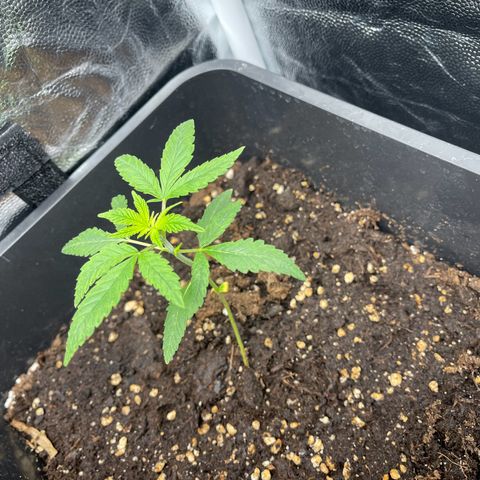 Eddy & Jeff growlog timeline photo
