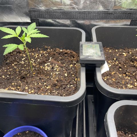 Eddy & Jeff growlog timeline photo
