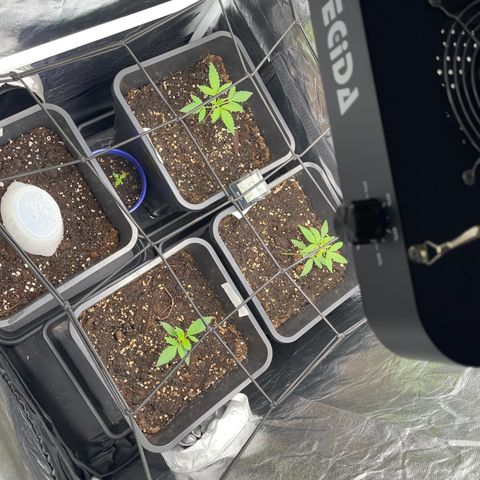 Eddy & Jeff growlog timeline photo