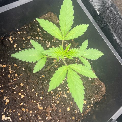 Eddy & Jeff growlog timeline photo