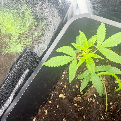 Eddy & Jeff growlog timeline photo