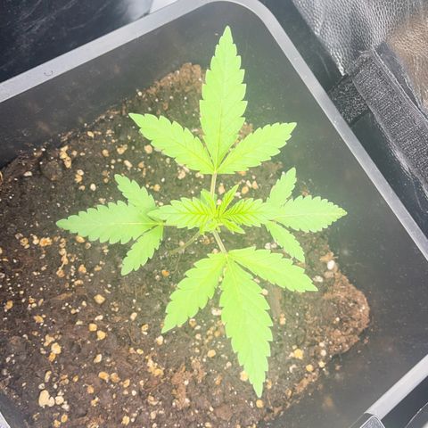 Eddy & Jeff growlog timeline photo