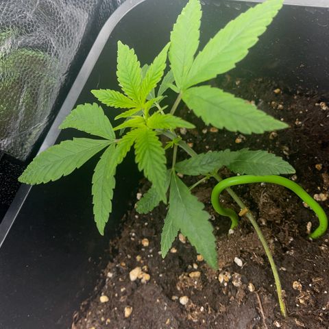 Eddy & Jeff growlog timeline photo