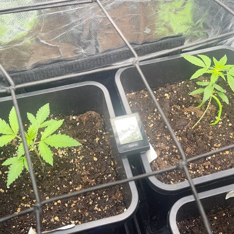 Eddy & Jeff growlog timeline photo