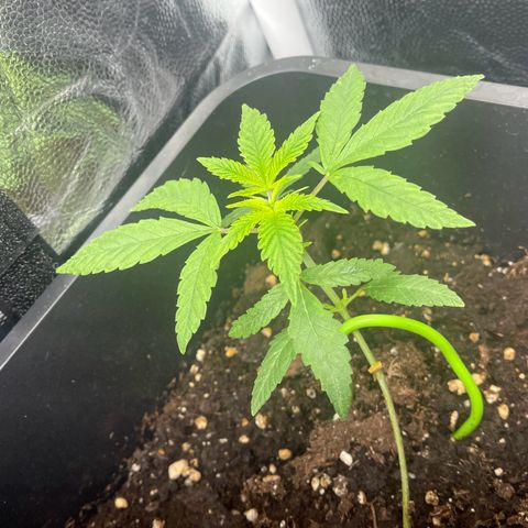 Eddy & Jeff growlog timeline photo