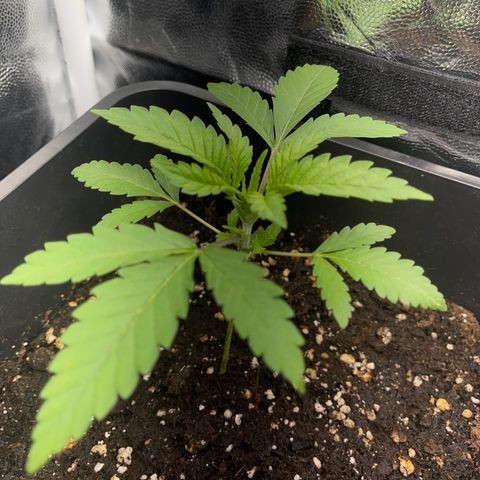 Eddy & Jeff growlog timeline photo