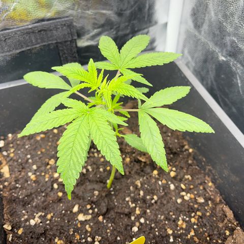 Eddy & Jeff growlog timeline photo