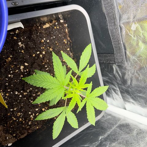 Eddy & Jeff growlog timeline photo
