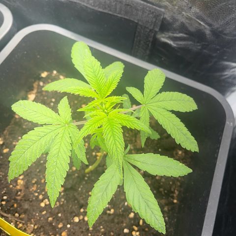 Eddy & Jeff growlog timeline photo