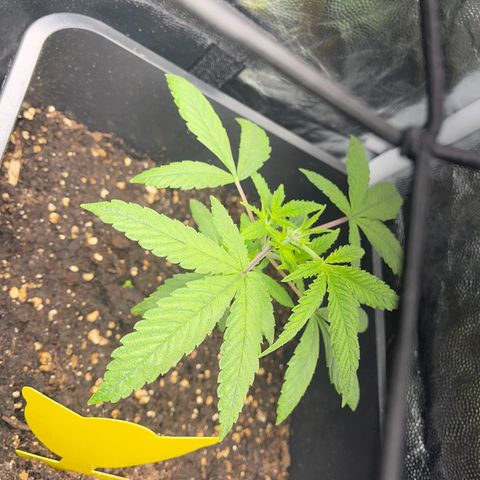 Eddy & Jeff growlog timeline photo