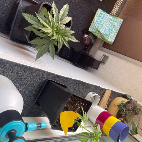 Eddy & Jeff growlog timeline photo