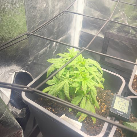 Eddy & Jeff growlog timeline photo